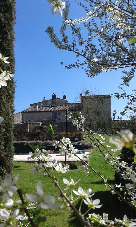 Podere La Chiusella B&B Rapolano Terme Exterior photo
